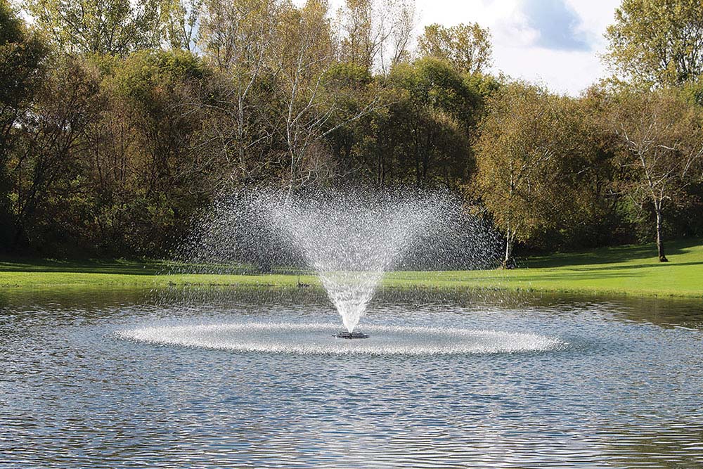 Kasco Standard Pattern Willow Fountain